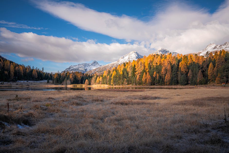 蟲草的奇妙世界：揭秘其成因與益處